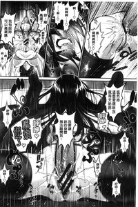 第216頁圖