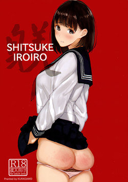 SHITSUKE IROIRO圖