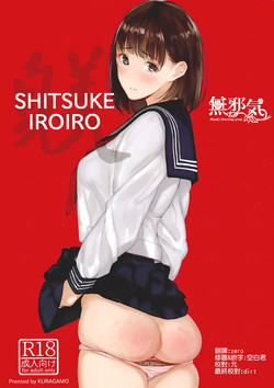 SHITSUKE IROIRO圖