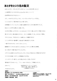 第32页图