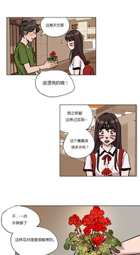 第504頁圖