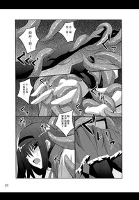 第28页图