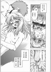 第164頁圖