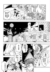 第216頁圖