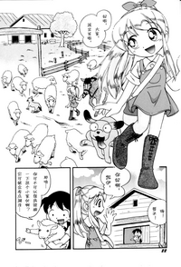 第24頁圖