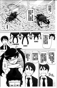 第204頁圖