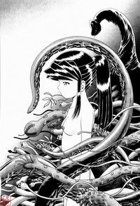 第204頁圖