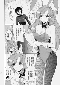 第56頁圖