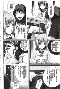 第196頁圖