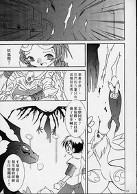 第24頁圖
