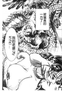 第164頁圖