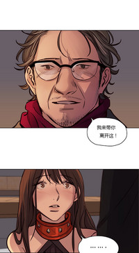 第544頁圖