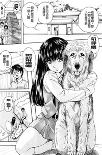 第104頁圖