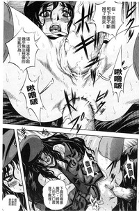 第212頁圖
