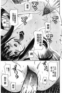 第164頁圖