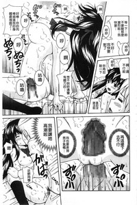 第204頁圖