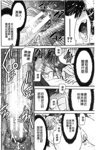 第100頁圖
