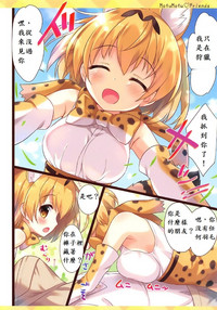 第4页图