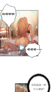 第436頁圖