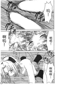 第44頁圖