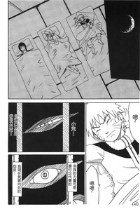 第48頁圖