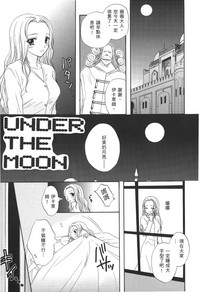 第20頁圖