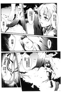 第44頁圖