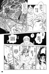 第44頁圖