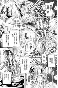 第136頁圖