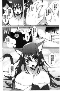 第144頁圖