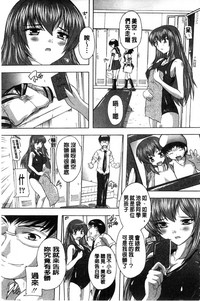 第204頁圖