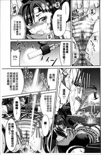 第164頁圖