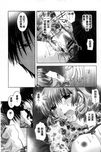 第216頁圖