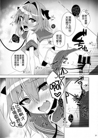 第20頁圖