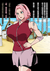 第20頁圖