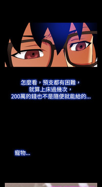 第384頁圖