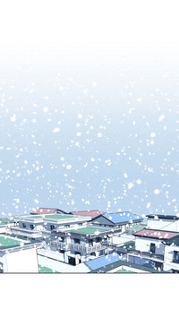 第516页图