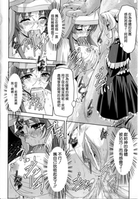 第48页图