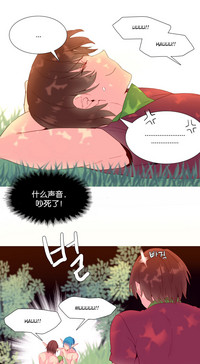 第304頁圖
