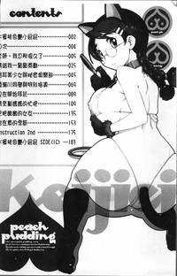 第12頁圖