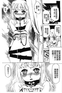 第204頁圖