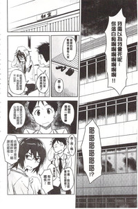 第204頁圖