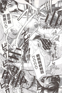 第208頁圖