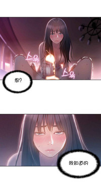 第136頁圖