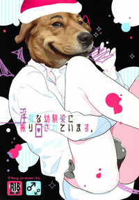第28頁圖