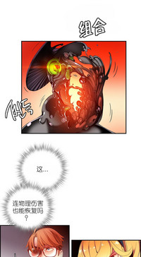 第484頁圖