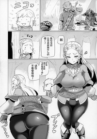 第4页图