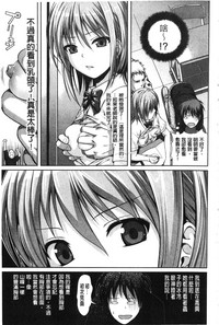 第196頁圖