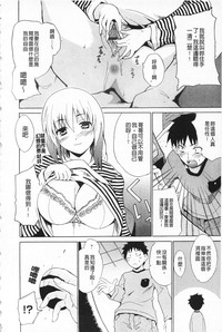 第204頁圖