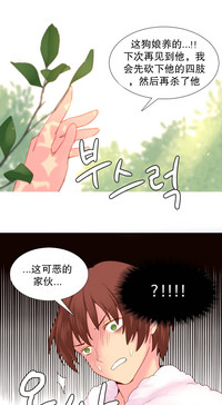 第416頁圖